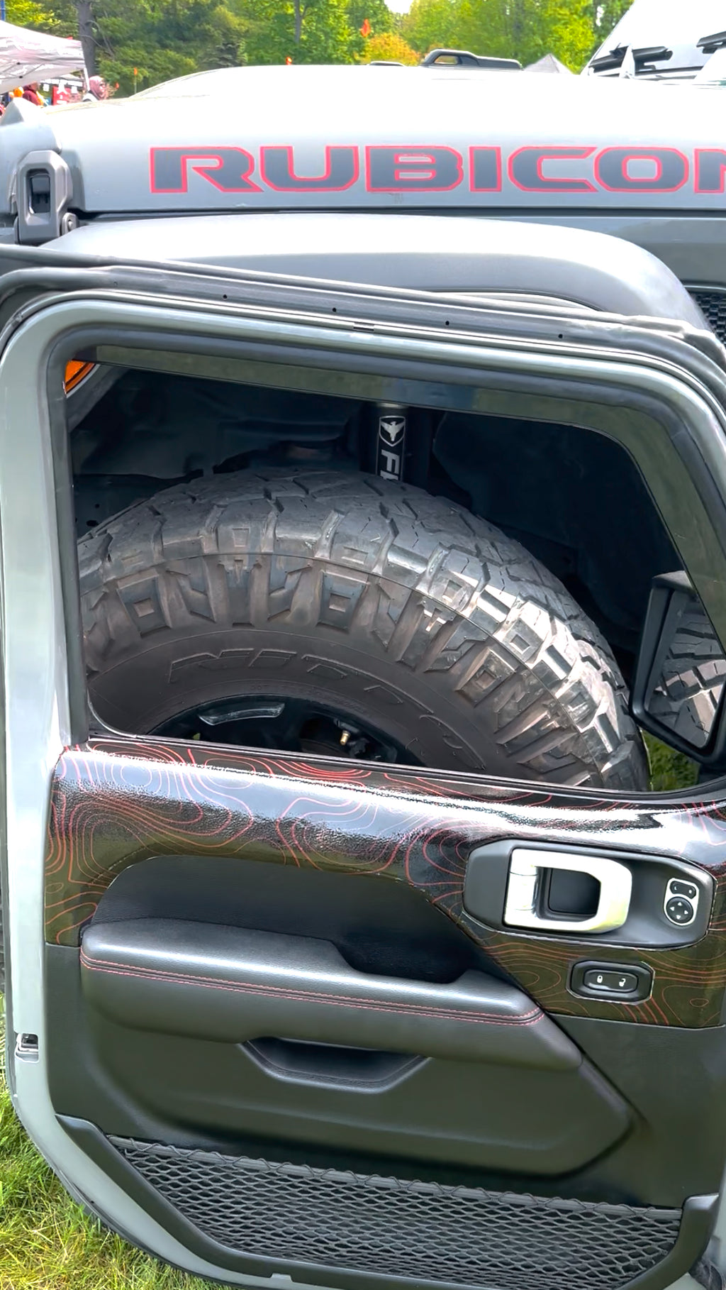 Door Skins