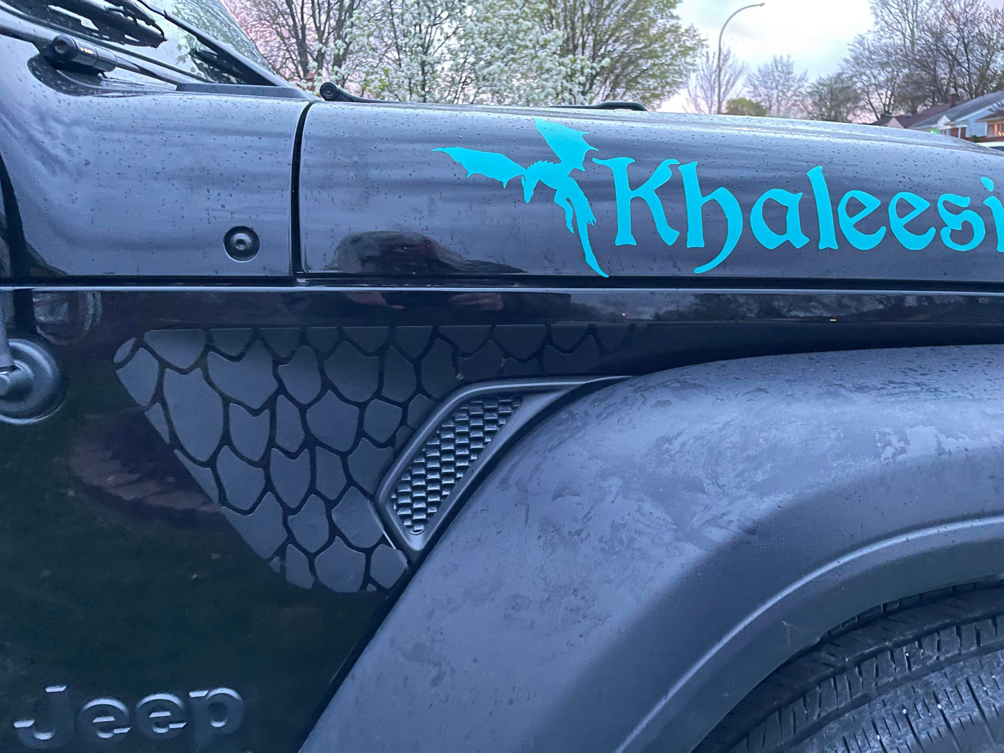 Fender Vent Decals